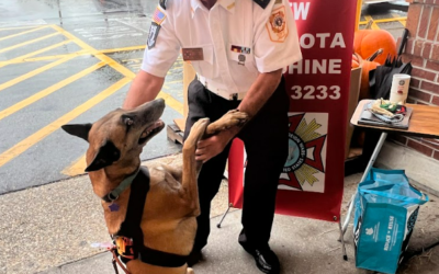 Stay in the Moment: How Service Dogs Help Us Heal, Focus, and Create a Better Future