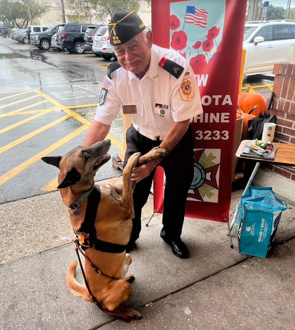 Stay in the Moment: How Service Dogs Help Us Heal, Focus, and Create a Better Future