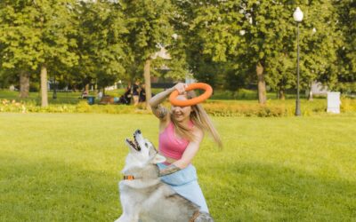Building Duration in Dog Training: The Key to Success