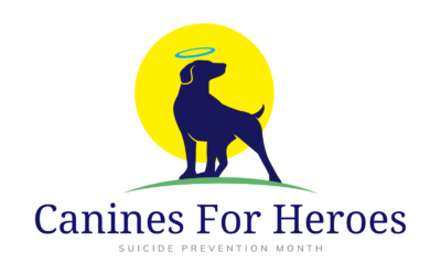 7 Foundation Dogs® available for 7 deserving Veterans or First Responders with PTSD