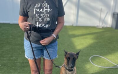 Embracing Healing Through Canines For Heroes: A Journey of Hope and Support