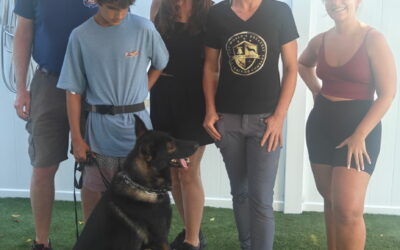 The Czech Shepherd That Changed JJ’s Life Forever