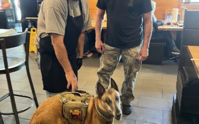 Our Furry Miracles
